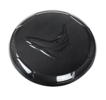 TC Style Carbon Fiber Rear Spare Wheel Cover - G Wagon W464 G350 & G500 & G63